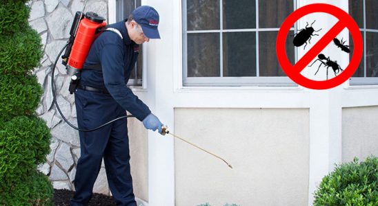 Merkezefendi Karınca İlaçlama böcek ilaçlama ve haşere kontrolü — ilaclama-tr.com